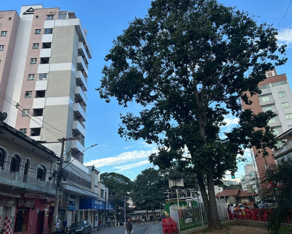 WhatsApp-Image-2026-02-18-at-17.48.271