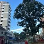 WhatsApp-Image-2026-02-18-at-17.48.271